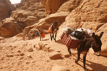 Image showing ASIA MIDDLE EAST JORDAN PETRA