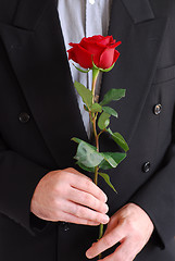 Image showing Man red rose