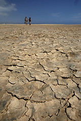 Image showing EUROPE CANARY ISLANDS FUERTEVENTURA