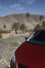 Image showing EUROPE CANARY ISLANDS FUERTEVENTURA