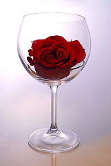 Image showing Wine glass with rose
