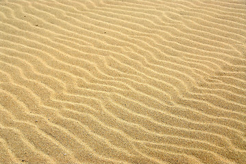 Image showing Sand background