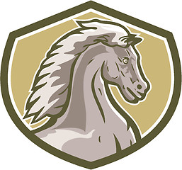 Image showing Colt Horse Head Side Shield Retro