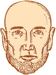 Image showing Male Bald Head Bearded Etching