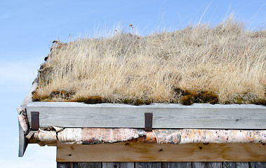 Image showing Roof covered with grass