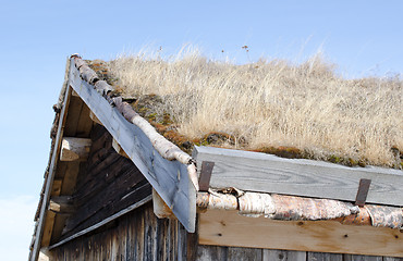 Image showing Roof covered with grass