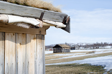 Image showing Roof covered with grass