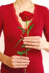 Image showing Woman rose