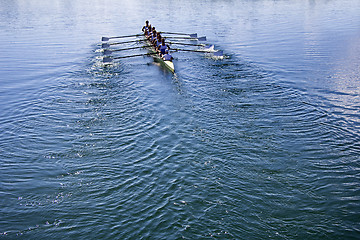 Image showing Boat coxed eight Rowers rowing