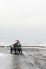 Image showing Horse harnessed to a carriage in winter