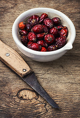 Image showing medicinal rose hips