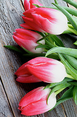 Image showing Spring Tulips