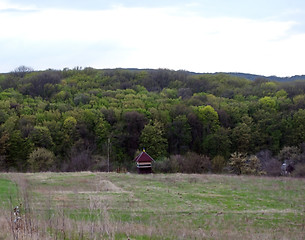 Image showing forest and meadow