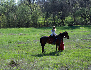 Image showing Girl sitting on a horse