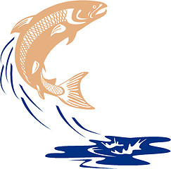 Image showing Atlantic Salmon Fish Jumping Water Isolated