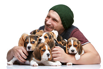 Image showing The man and big group of a beagle puppies