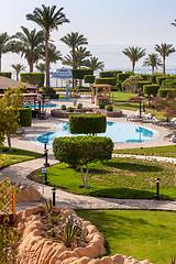 Image showing Palm alley on  tropical egyptian beach