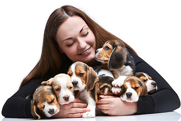 Image showing The woman and big group of a beagle puppies