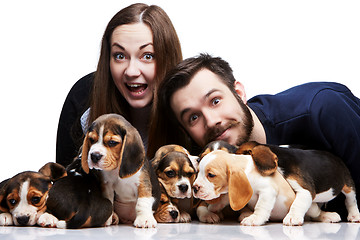 Image showing The man, woman and big group of a beagle puppies