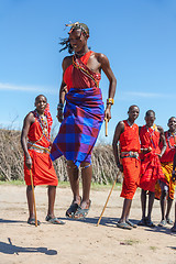 Image showing MASAI MARA,KENYA, AFRICA- FEB 12 Masai warriors dancing traditional jumps as cultural ceremony,review of daily life of local people,near to Masai Mara National Park Reserve, Feb 12, 2010