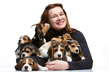 Image showing The woman and big group of a beagle puppies