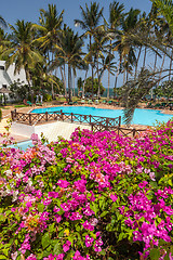 Image showing Swimming pool, palm trees, pink flowers and blue sky