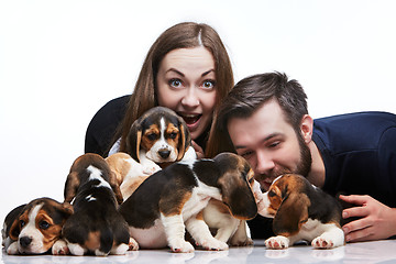 Image showing The man, woman and big group of a beagle puppies