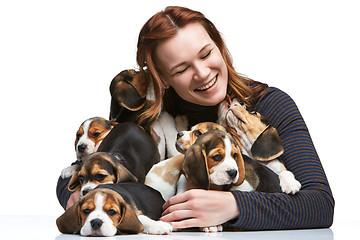 Image showing The woman and big group of a beagle puppies