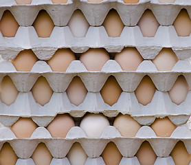 Image showing Egg stack