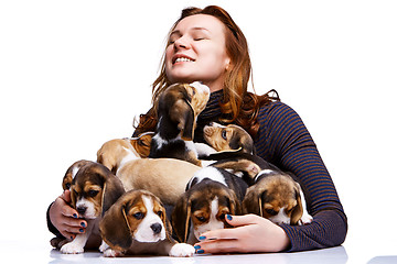 Image showing The woman and big group of a beagle puppies