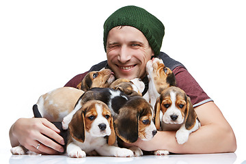 Image showing The man and big group of a beagle puppies