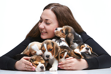 Image showing The woman and big group of a beagle puppies