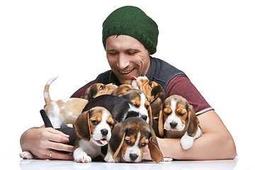 Image showing The man and big group of a beagle puppies