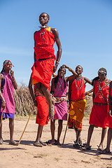 Image showing MASAI MARA,KENYA, AFRICA- FEB 12 Masai warriors dancing traditional jumps as cultural ceremony,review of daily life of local people,near to Masai Mara National Park Reserve, Feb 12, 2010