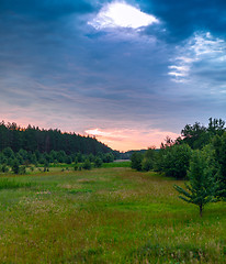 Image showing Glade green wood and blue sky with clouds