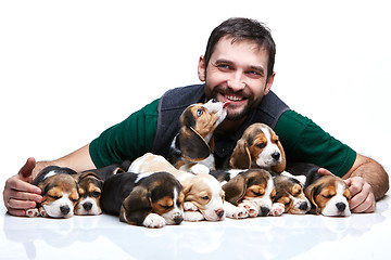 Image showing The man and big group of a beagle puppies