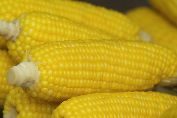 Image showing Corn on the cob