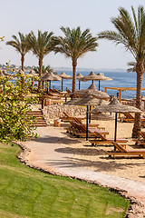 Image showing Palm alley on  tropical egyptian beach