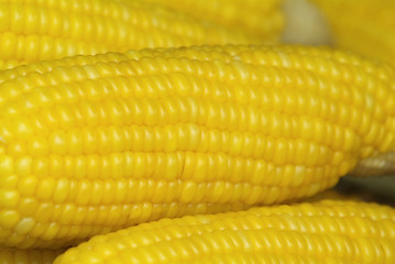 Image showing Corn on the cob abstract