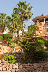 Image showing The tropical garden in Egypt.