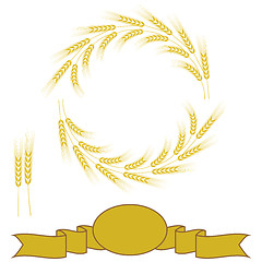 Image showing Yellow Wheats