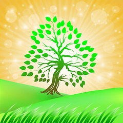 Image showing Summer Green Tree