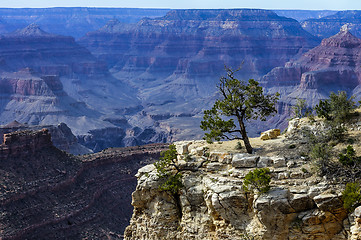 Image showing grand canyon, az, usa