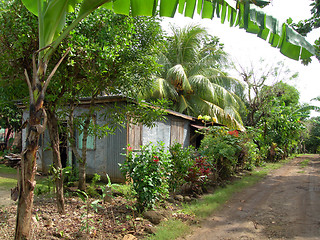 Image showing native house nicaragua