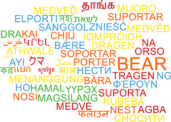 Image showing Bear multilanguage wordcloud background concept