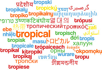 Image showing Tropical multilanguage wordcloud background concept