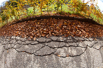 Image showing Road damage