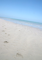 Image showing Tropical beach