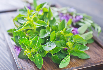 Image showing aroma herbs