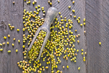 Image showing mung beans